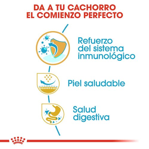 ROYAL CANIN | Alimento seco para perros cachorro Pug