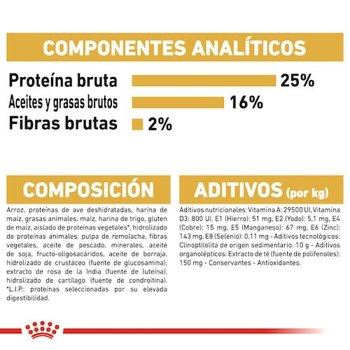 ROYAL CANIN | Alimento seco para perros adultos Pug
