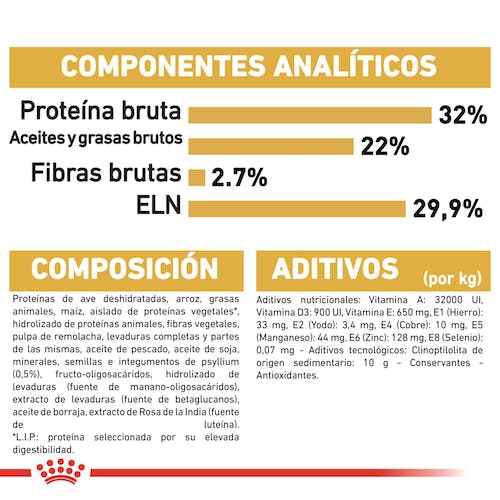 ROYAL CANIN | Alimento seco para gatitos Persian