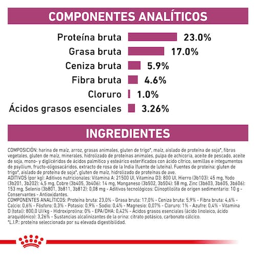 ROYAL CANIN | Alimento seco para gatos Renal