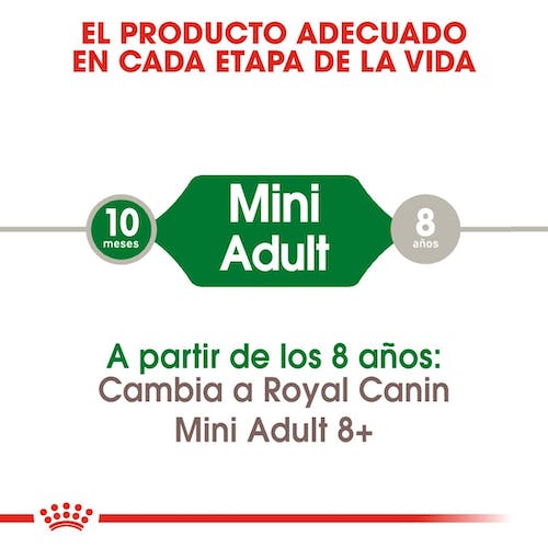 ROYAL CANIN | Alimento seco para perros adultos de razas pequeñas