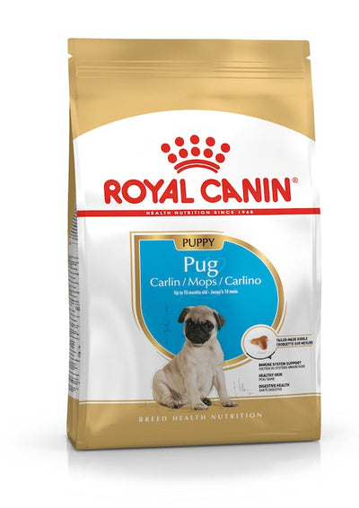 ROYAL CANIN | Alimento seco para perros cachorro Pug