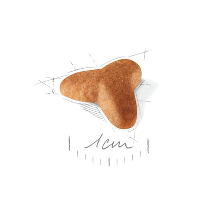 ROYAL CANIN | Alimento seco para perros cachorro Pug