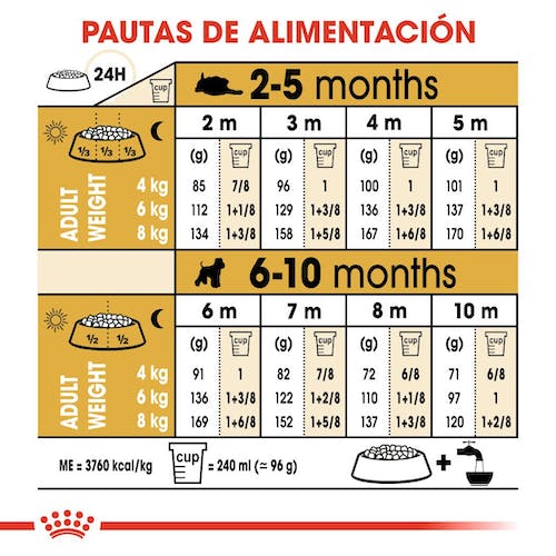 ROYAL CANIN | Alimento seco para perros cachorros Schnauzer