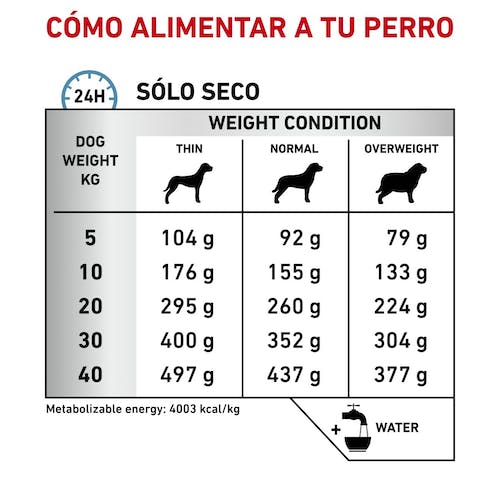 ROYAL CANIN | Alimento seco para perros Anallergenic