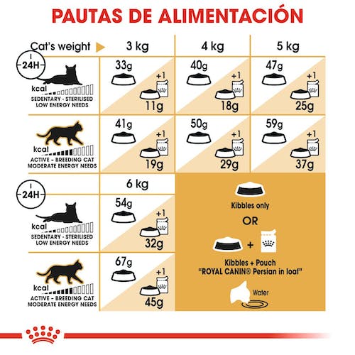 ROYAL CANIN | Alimento seco para gatos adultos Persian