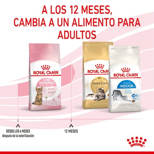 ROYAL CANIN | Alimento seco para gatitos Sterilized