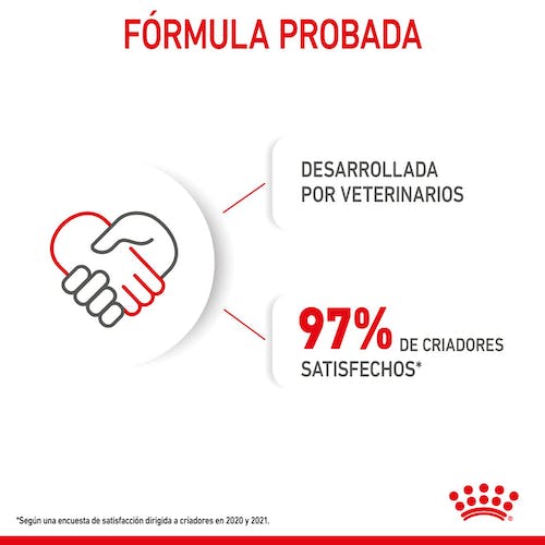 ROYAL CANIN | Alimento húmedo para perros cachorros de razas grandes (Pack de 10 bolsitas de 140g)