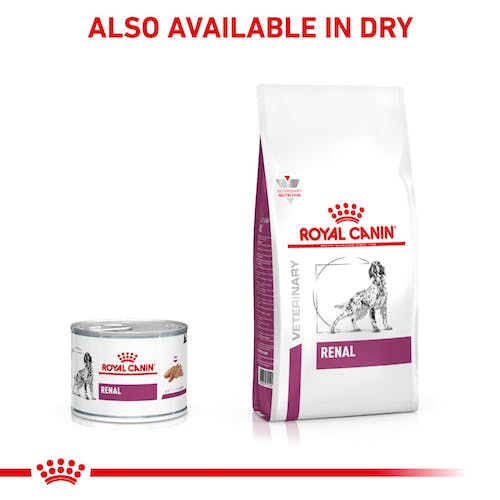 ROYAL CANIN | Alimento húmedo para perros Renal (Pack de 12 latas de 410g)