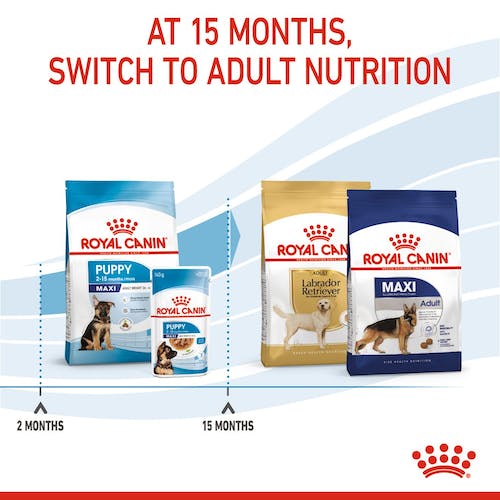 ROYAL CANIN | Alimento seco para perros cachorros de razas grandes