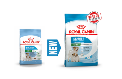 ROYAL CANIN | Alimento seco para perras madres de razas pequeñas Starter Mother & Babydog