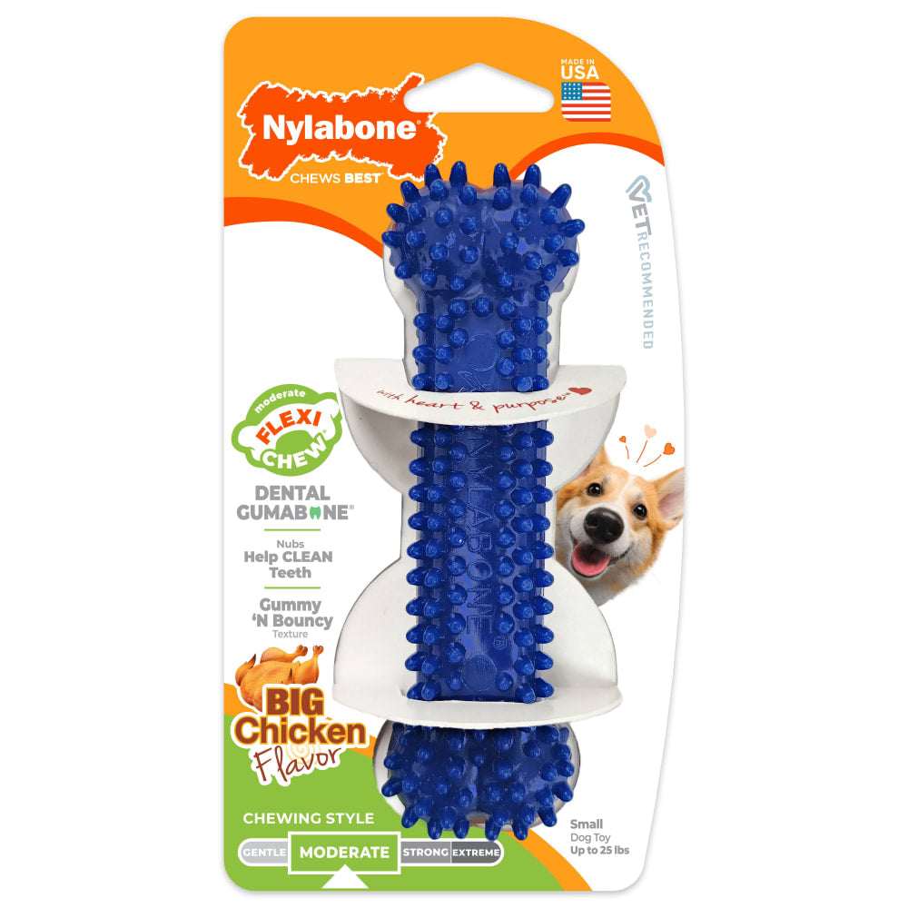 Nylabone Dental Chew Bone Chicken Regular — empaque frontal