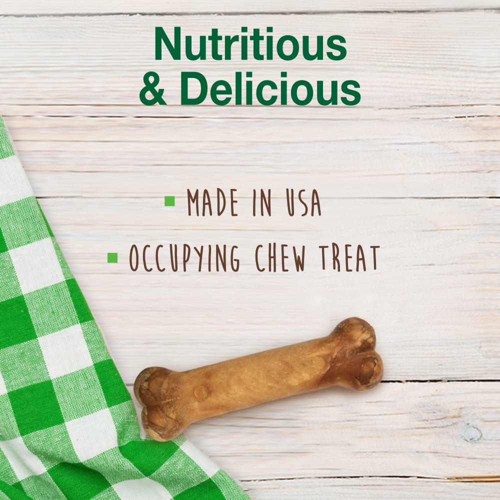 Nylabone Healthy Edibles Variety Pack — producto sin empaque