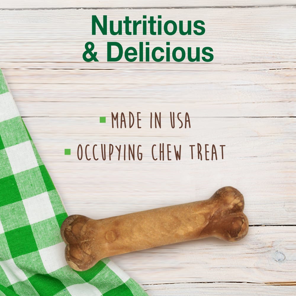 Nylabone Healthy Edibles Chicken — producto sin empaque