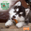 Nylabone Healthy Edibles Puppy Turkey & Sweet Potato — en uso