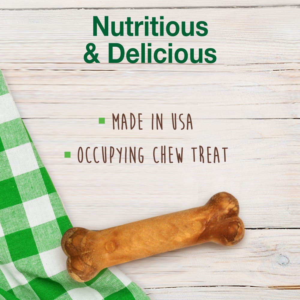 Nylabone Healthy Edibles Puppy Turkey & Sweet Potato — producto sin empaque