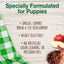 Nylabone Healthy Edibles Puppy Lamb & Apple — características