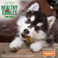 Nylabone Healthy Edibles Puppy Lamb & Apple — en uso