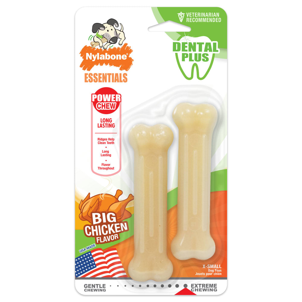Nylabone | Daily Dental Durable Chew Twin Pack, Chicken