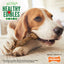 Nylabone Healthy Edibles Wild Bison — en uso