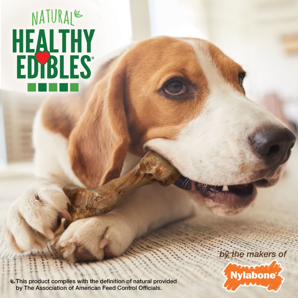 Nylabone Healthy Edibles Wild Bison — en uso