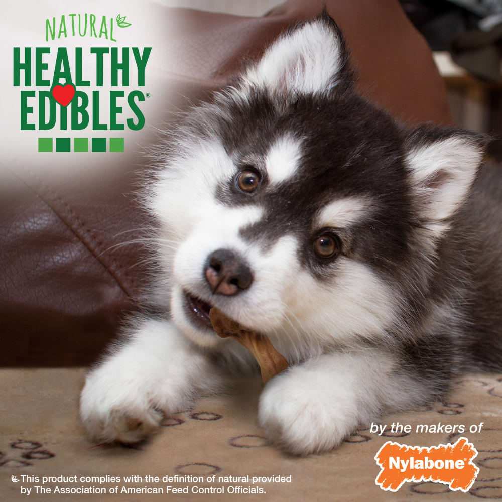Nylabone Healthy Edibles Puppy Wild Turkey — en uso