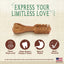 Nylabone Nutri Dent Filet Mignon — producto sin empaque