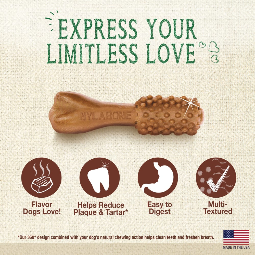 Nylabone Nutri Dent Filet Mignon — producto sin empaque