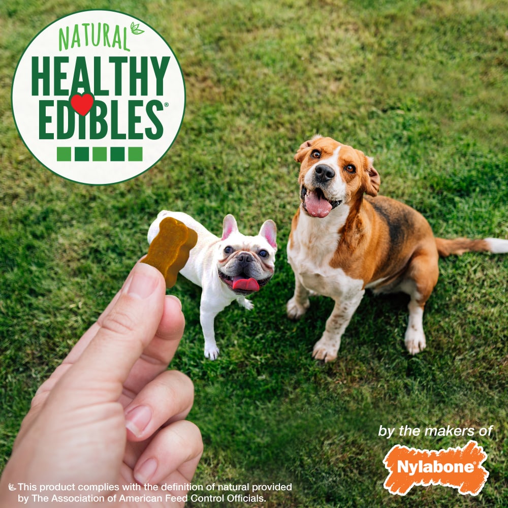 Nylabone Healthy Edibles Chewy Bites Peanut Butter — en uso