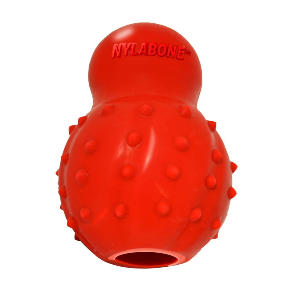Nylabone Power Chew Textured Bone Flavor Medley — producto sin empaque