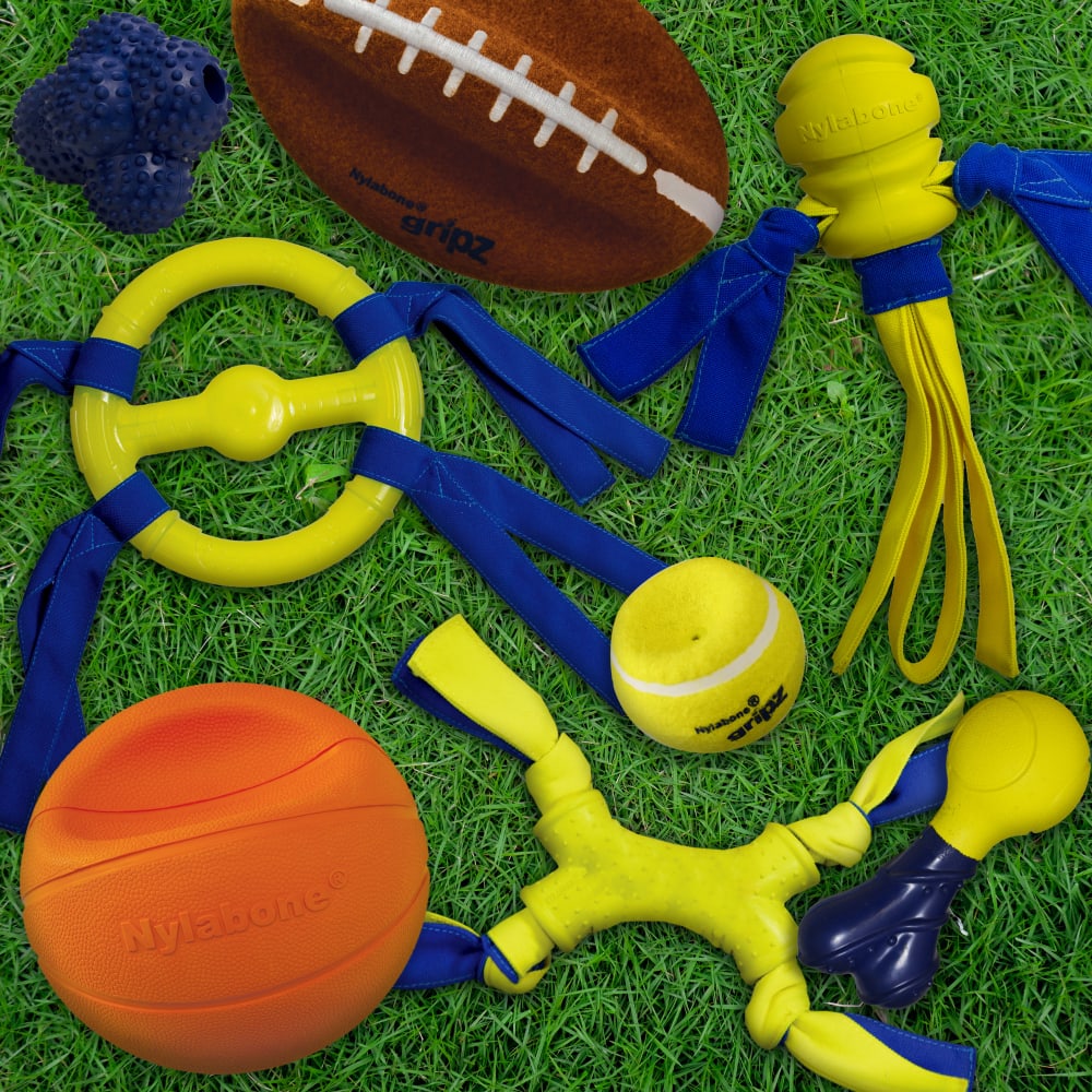 Nylabone Nyla Play Gripz — familia de productos sin empaque