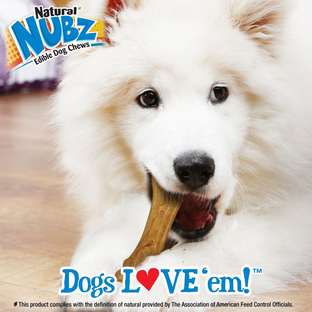 Nylabone Nubz Peanut Butter — en uso
