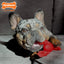 Nylabone Power Chew Lobster — en uso
