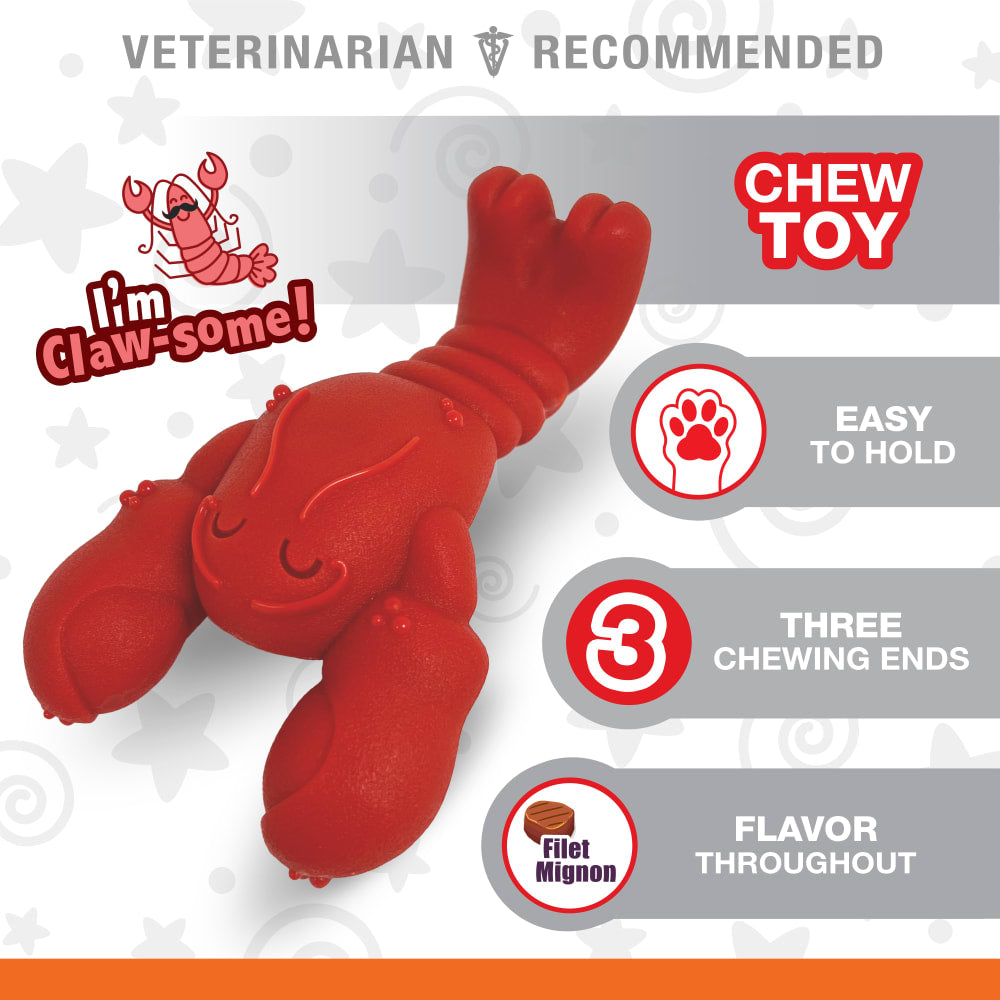 Nylabone Power Chew Lobster — producto sin empaque