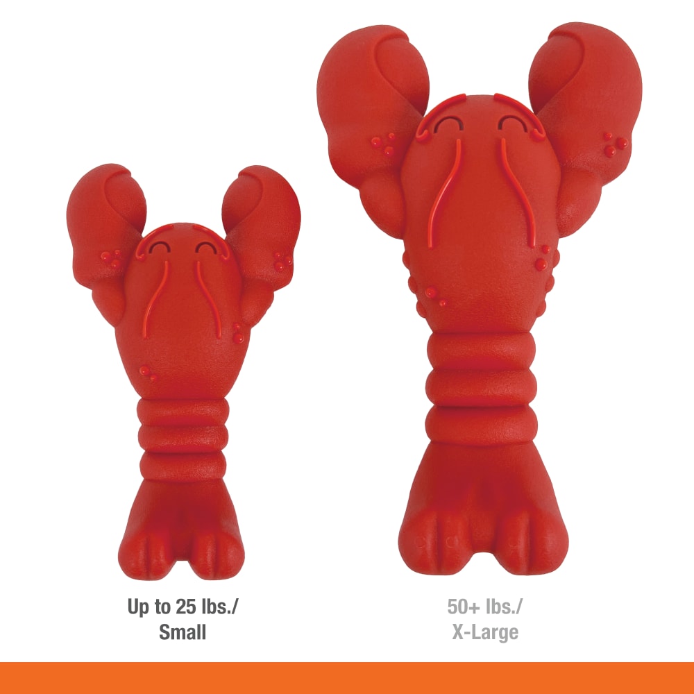 Nylabone Power Chew Lobster — comparación de tallas