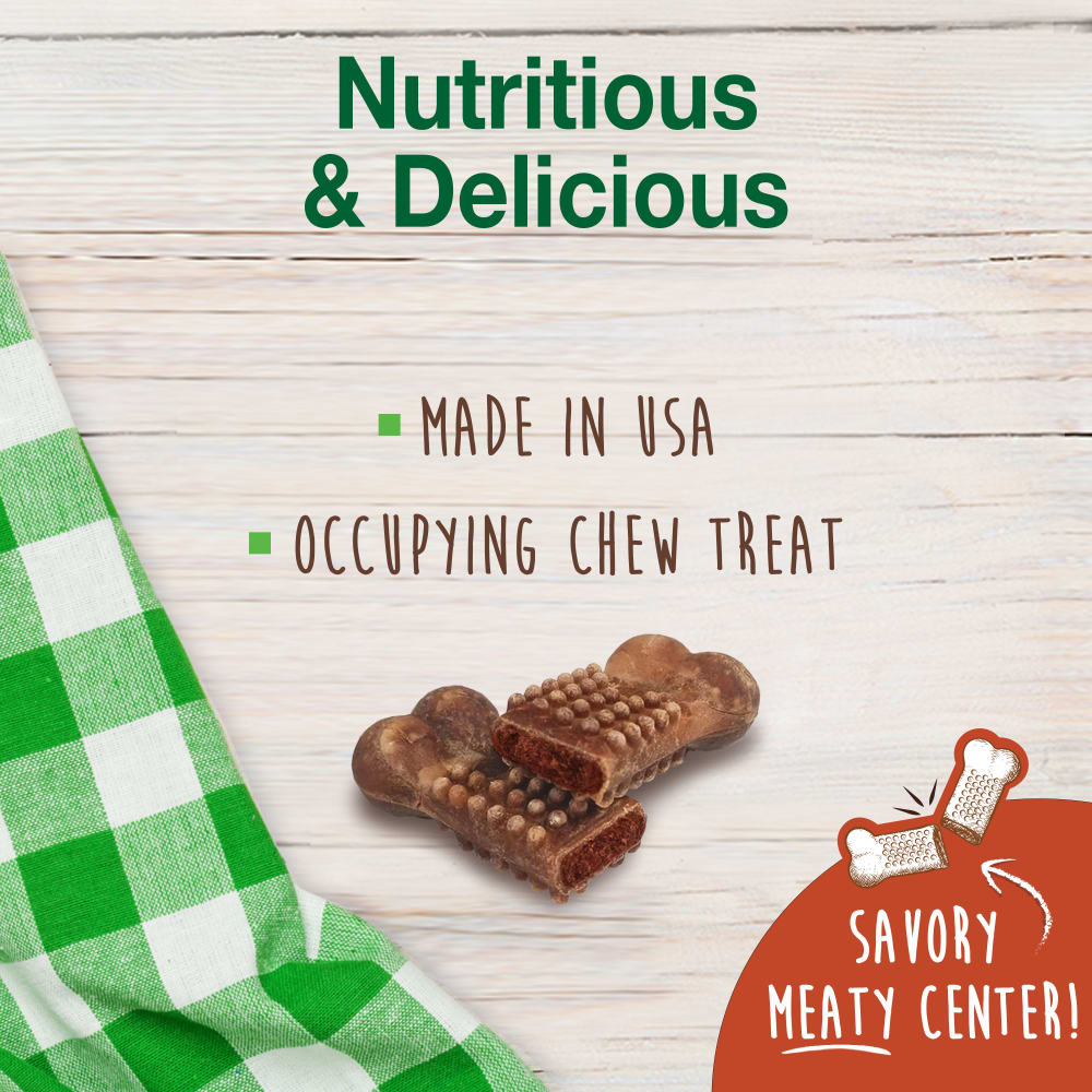Nylabone Healthy Edibles Meaty Center 2ct Medium — producto sin empaque
