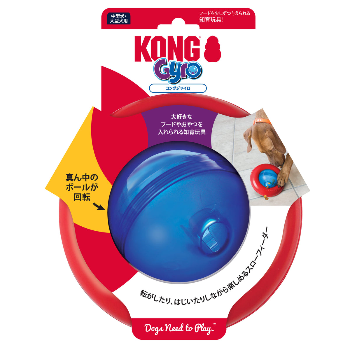 KONG GYRO — imagen principal