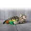 KONG Wrangler AvoCATo — vista adicional 1