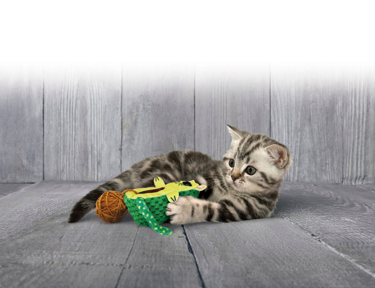 KONG Wrangler AvoCATo — vista adicional 1