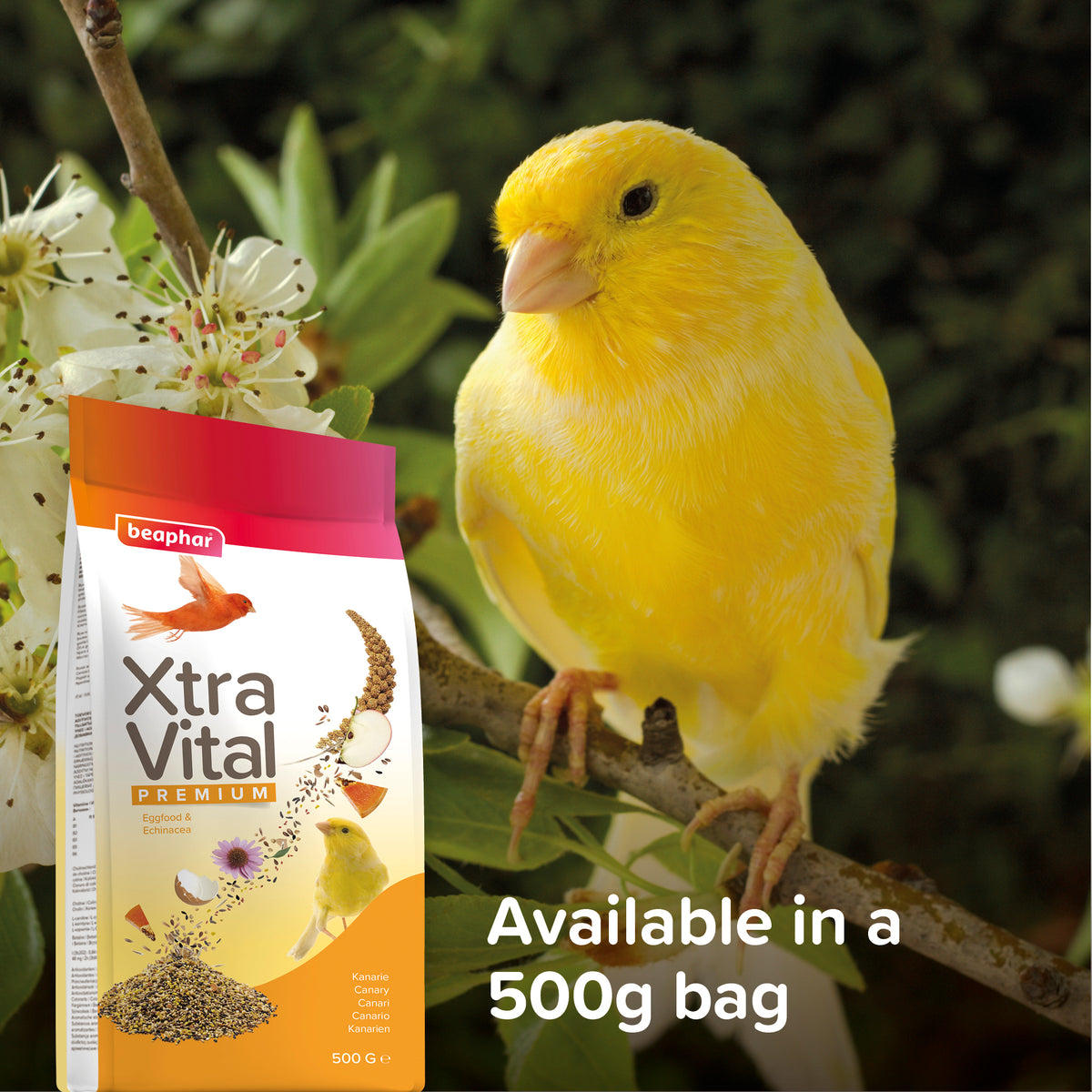 Beaphar XtraVital Canary — imagen 9