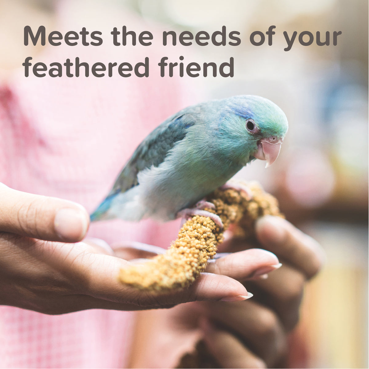 Beaphar XtraVital Parakeet — imagen 7