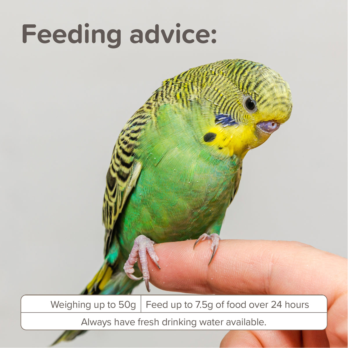 Beaphar XtraVital Parakeet — imagen 8