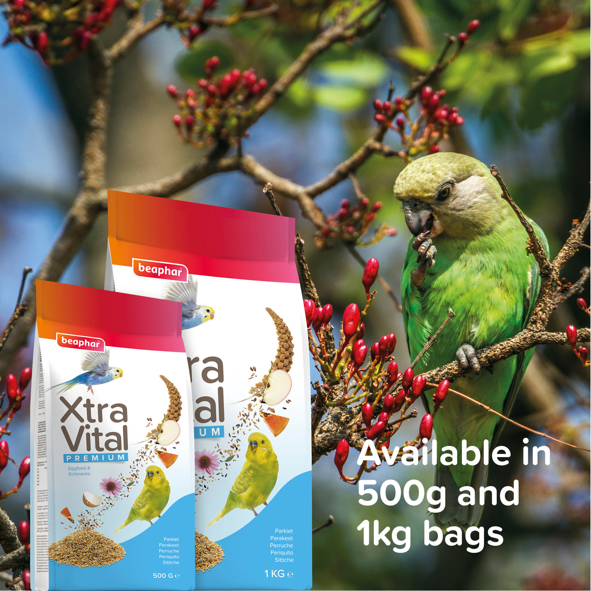Beaphar XtraVital Parakeet — imagen 9