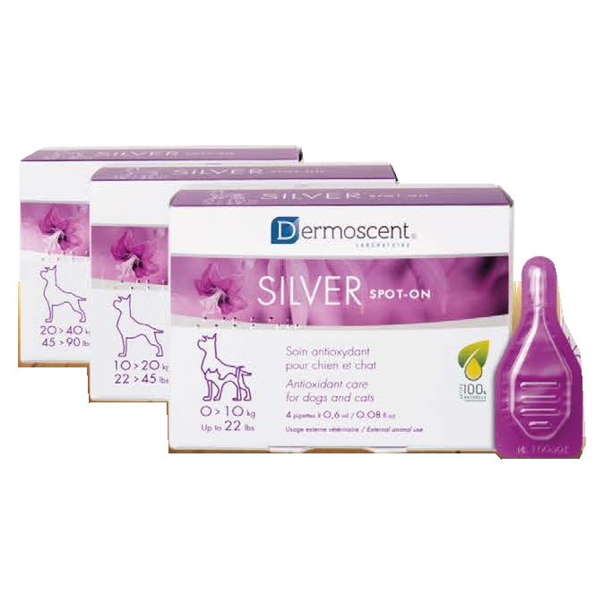 Silver Spot-On — presentación del catálogo Vetpharma