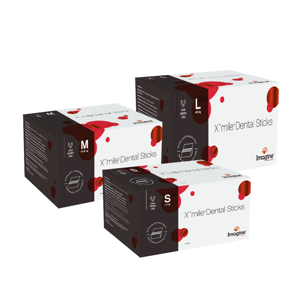 Xmile Dental Sticks - imagen principal oficial