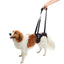 KRUUSE | Arnés de elevación para patas traseras - principal packshot