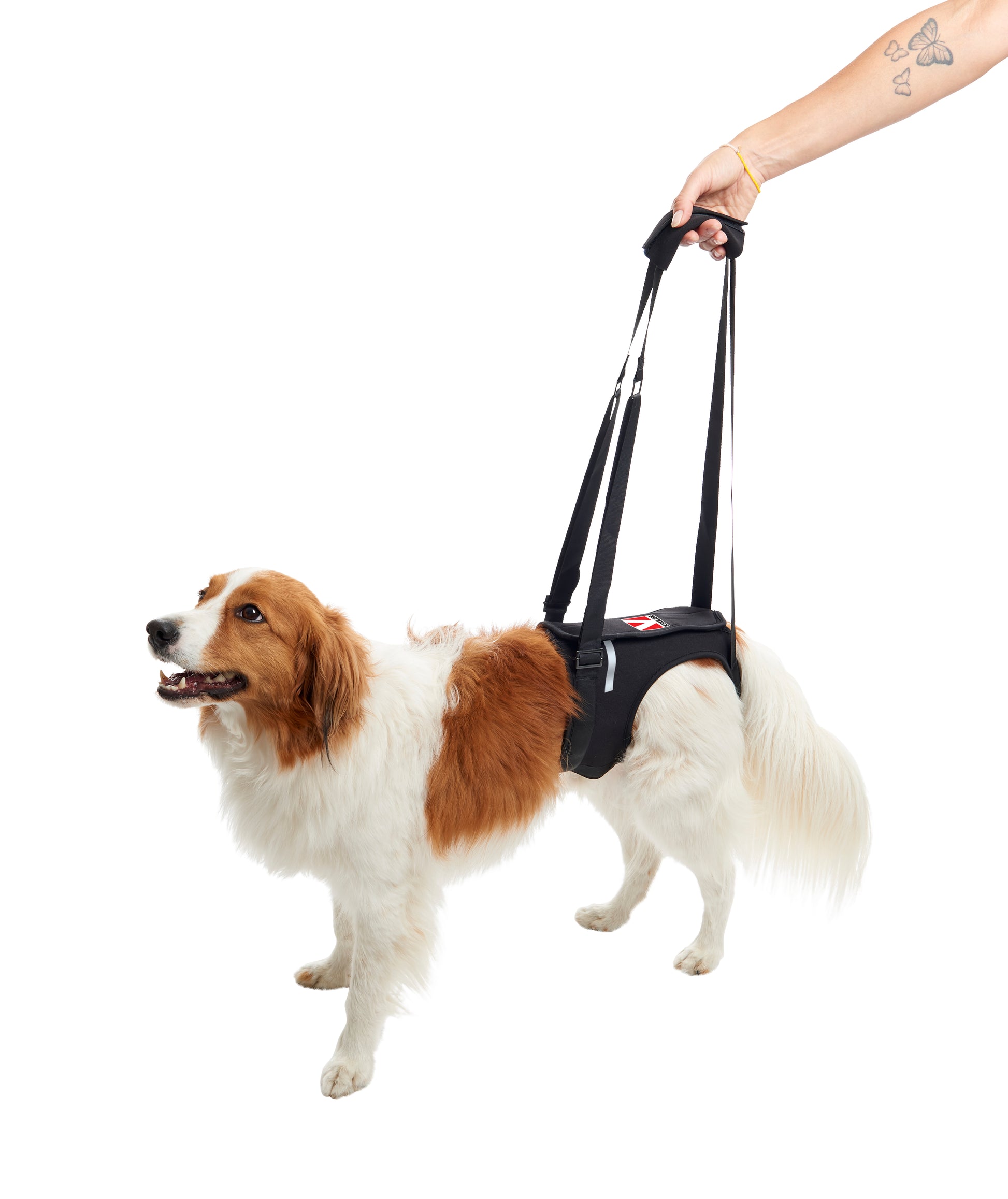 KRUUSE | Arnés de elevación para patas traseras - principal packshot