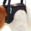 KRUUSE | Arnés de elevación para patas traseras - secondary packshot or packaging