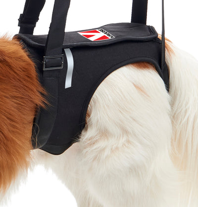 KRUUSE | Arnés de elevación para patas traseras - secondary packshot or packaging