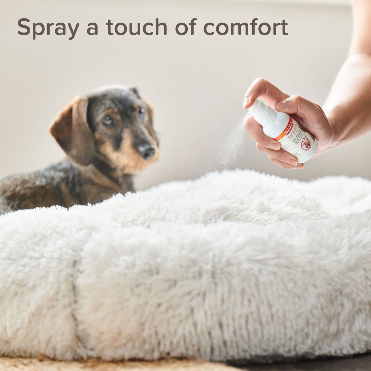 Beaphar CaniComfort Spray — imagen 9